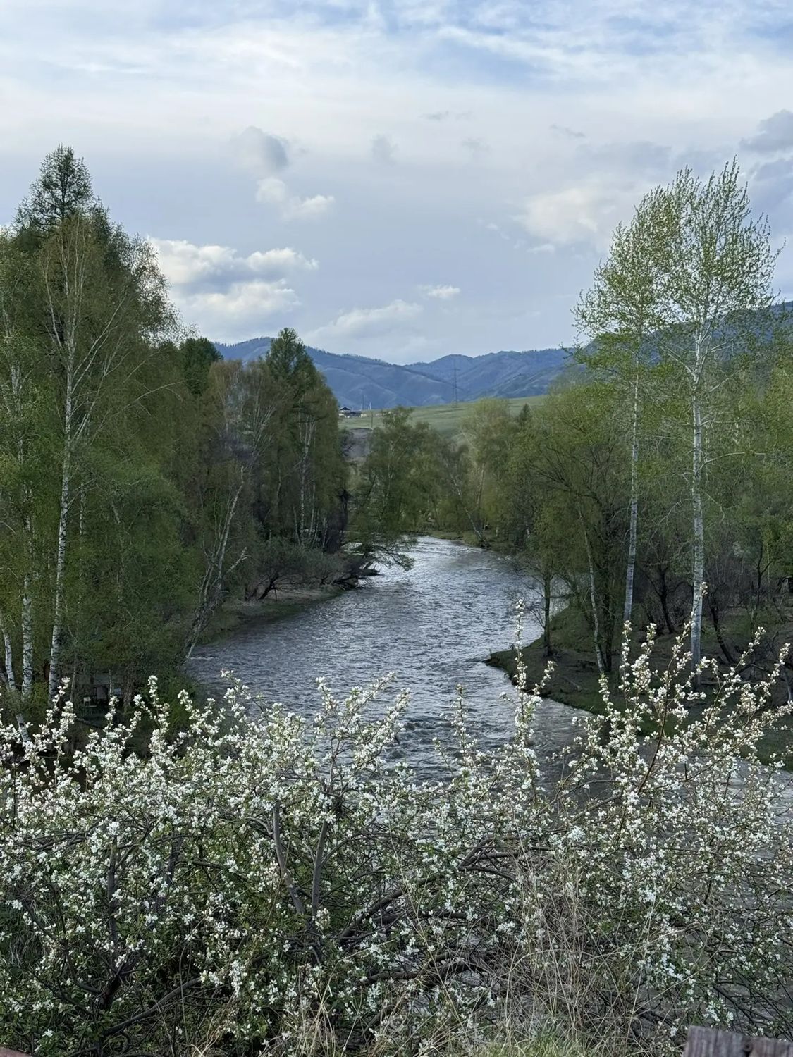 Река Урсул
